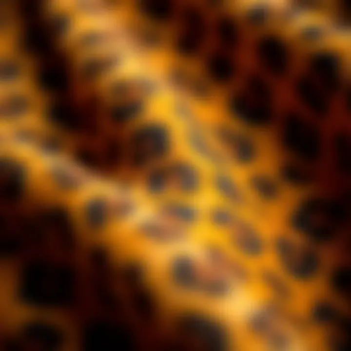 Close-up of vibrant cheetah print fabric texture