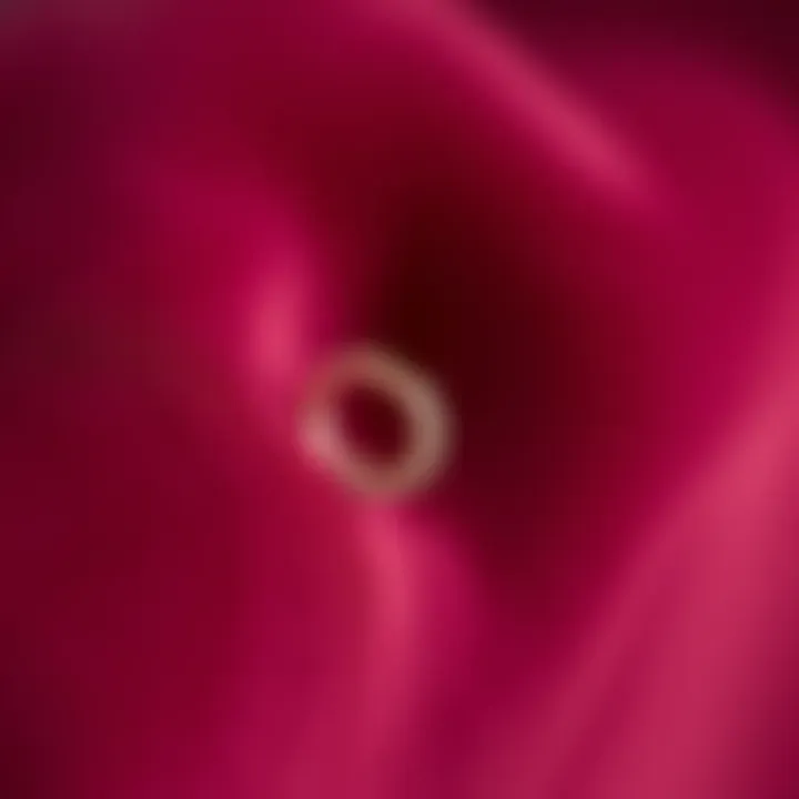 Elegant D-shaped nose ring displayed on a velvet background