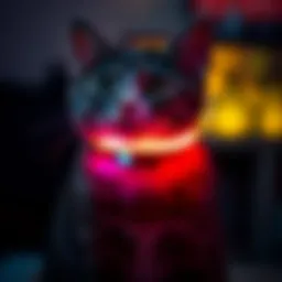 A sleek LED cat collar glowing in the dark, showcasing its vibrant colors.