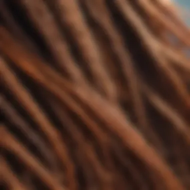 A close-up view of vibrant loc extensions showcasing different textures