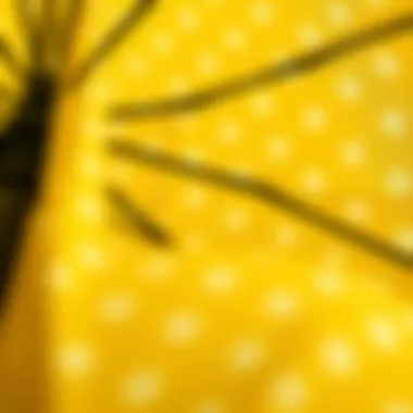 Close-up of polka dot patterns showcasing textile details