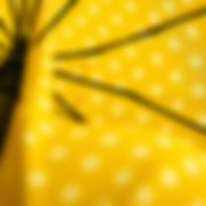 Close-up of polka dot patterns showcasing textile details