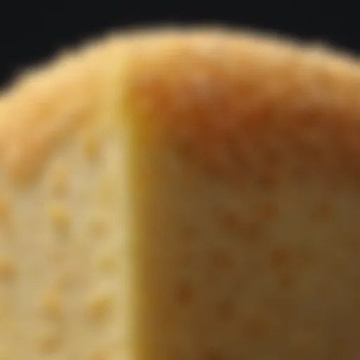 Textured surface of a dead skin removing sponge