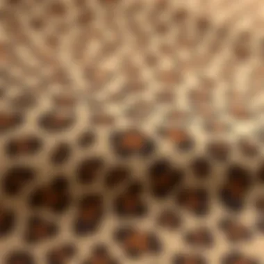 Close-up of leopard contact paper texture