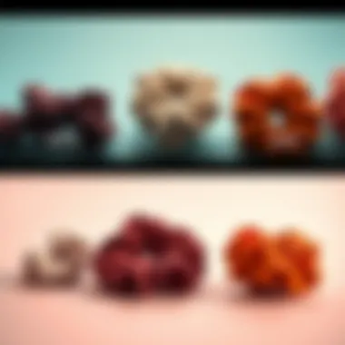 Historical Evolution of Scrunchies Historical evolution of scrunchies from past to present