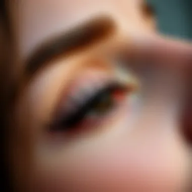 Magnetic vs Traditional: A Visual Comparison Comparison of magnetic eyelashes and traditional eyelash extensions