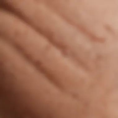 Exploring the Texture of Sweat Fajas A close-up view of a sweat faja showcasing its texture and design