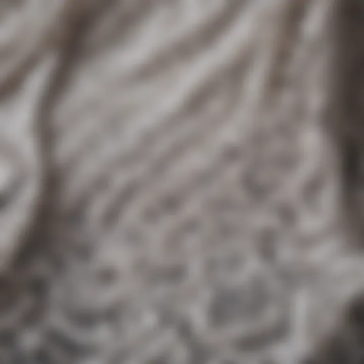 Close-up of fabric texture highlighting opacity in lace design